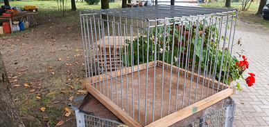 5 gabbie esposizione colombi 