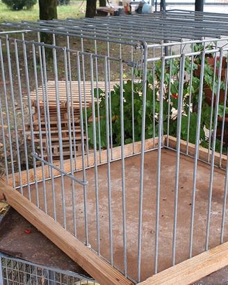 5 gabbie esposizione colombi 