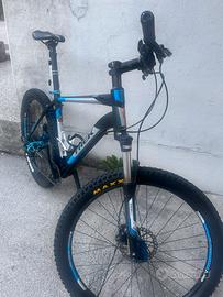 Trek mtb