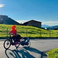 Cybex Zeno Bike carretto/passeggijo per bici