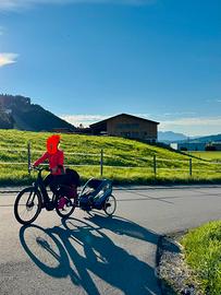 Cybex Zeno Bike carretto/passeggijo per bici