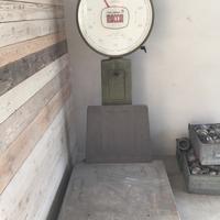 Pesa bascula ITALIANA MACCHI