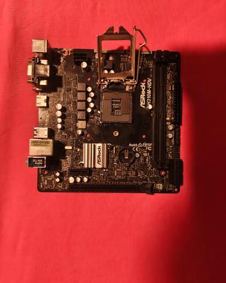 ASROCK H310M-HDV ROTTA (Danno fisico)