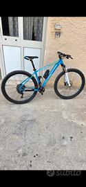 Mtb Torpado ribot z