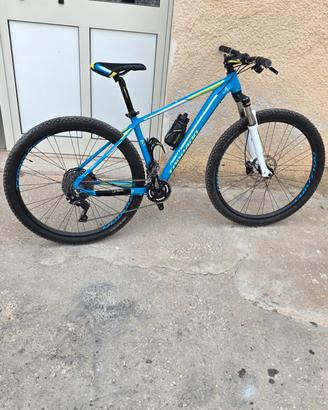 Mtb Torpado ribot z