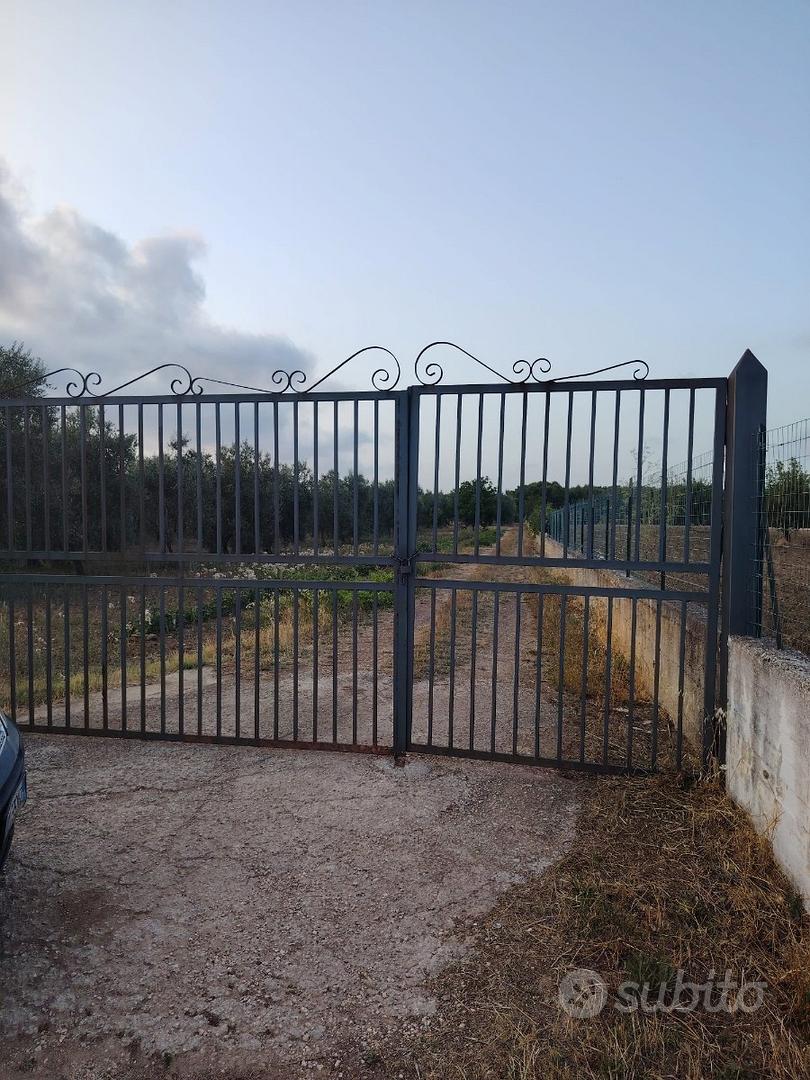 Uliveto a pochi centinai di metri dal paese - Vista 3