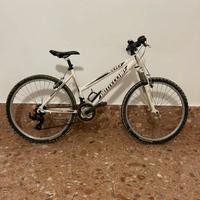Mtb Bottecchia bici donna