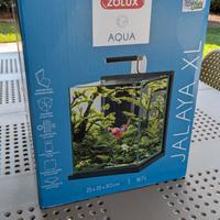 Acquario ZOLUX JALAYA XL