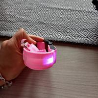 Collare luminoso cane