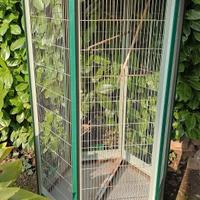 voliera gabbia volatili