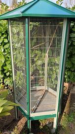 voliera gabbia volatili