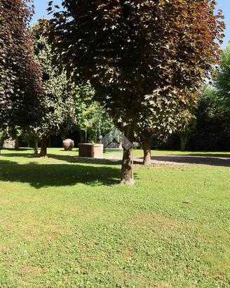 3 LOCALI A REGGIO NELL'EMILIA