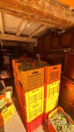 Bottiglie di vino rosso e bianco 