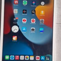 iPad Mini 4