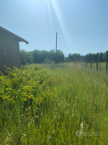 Terreno agricolo