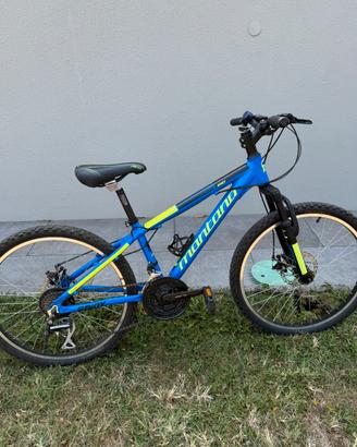 MONTANA bici mountain bike SPIDY 24″