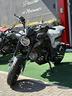 lem-brutus-110