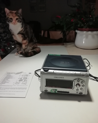 Radio sveglia Scott funzionante