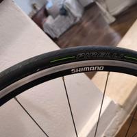 Wilier Triestina