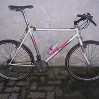 Bici MTB MASI PEGORETTI TEL 3387648444