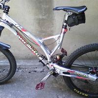 Ancillotti Fry 2014 Nuova