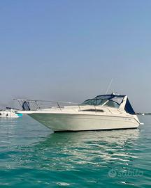 SEA RAY 290