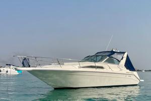 SEA RAY 290