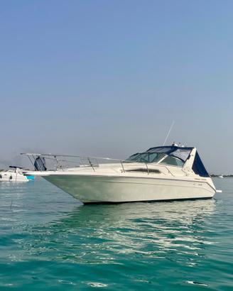 SEA RAY 290