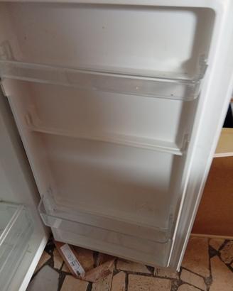 Frigo 