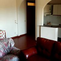 Vivi cerchiara di calabria (cs)