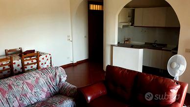 Vivi cerchiara di calabria (cs)