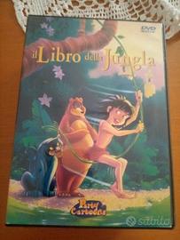 Cinque DVD cartoni animati