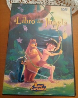 Cinque DVD cartoni animati