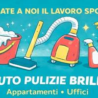 Impresa offre servizi di pulize