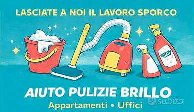 Impresa offre servizi di pulize