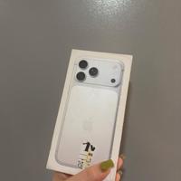 i phone 17 pro max silver