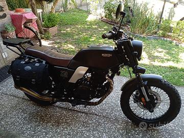 Brixton Glanville 250 - 2020