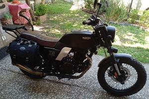 Brixton Glanville 250 - 2020