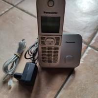 cordless panasonic grigio