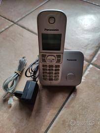 cordless panasonic grigio