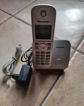 cordless panasonic grigio