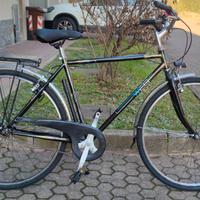 Bici da Uomo 28