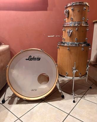 batteria LUDWIG  signet 105 terrabeat