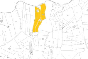 Ampio Terreno con 2 fabbricati ideale investimento