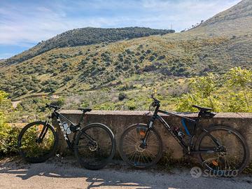 Due bici mountain bike: trek & rockrider