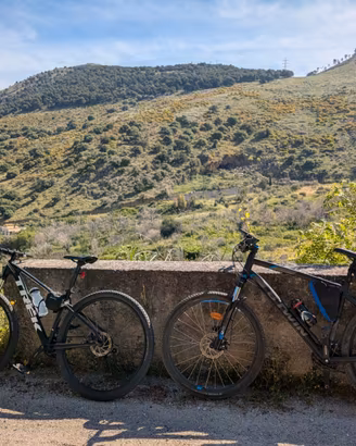 Due bici mountain bike: trek & rockrider