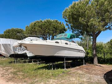 Sea Ray Sundancer 250