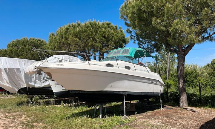 Sea Ray Sundancer 250