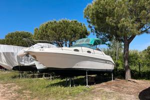 Sea Ray Sundancer 250