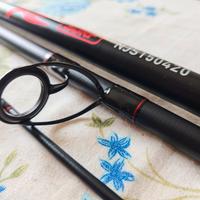 Daiwa ninja Surf 150 tubolar tip